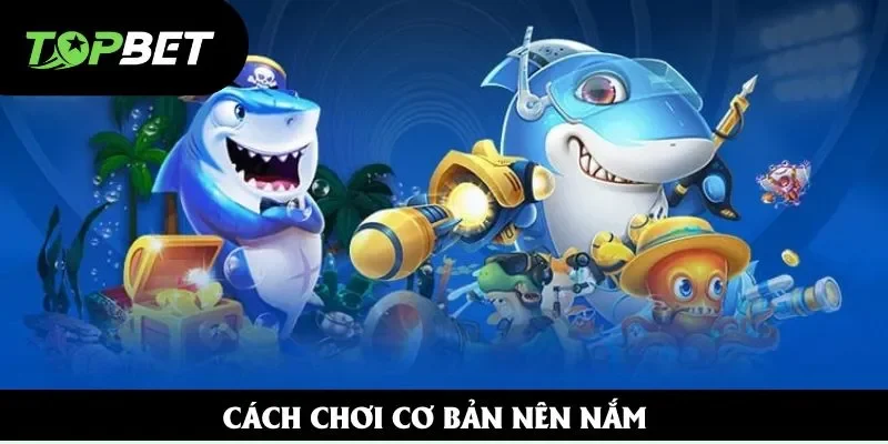 Cách chơi cơ bản nên nắm Cách chơi cơ bản nên nắm