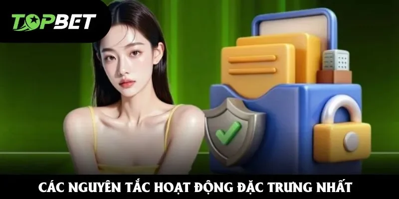 Các nguyên tắc hoạt động đặc trưng nhất của nhà cái