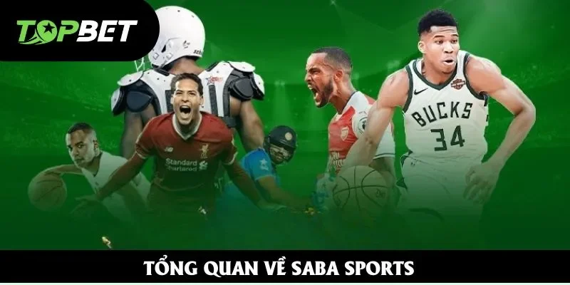 Tổng quan về Saba Sports Tổng quan về Saba Sports